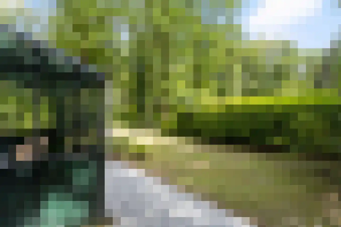 Langeloërduinen 3 31 Norg thumbnail 16