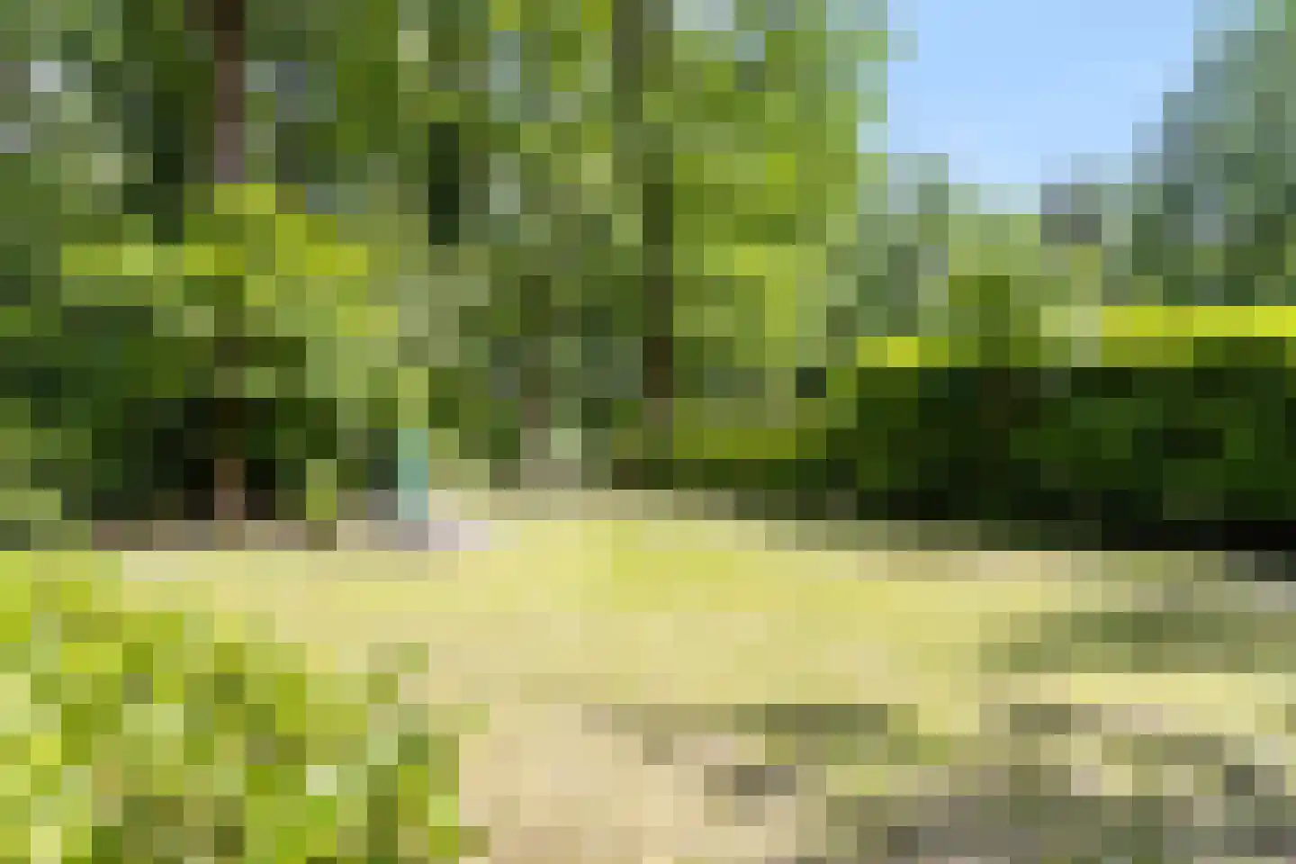 Langeloërduinen 3 31 Norg thumbnail 17