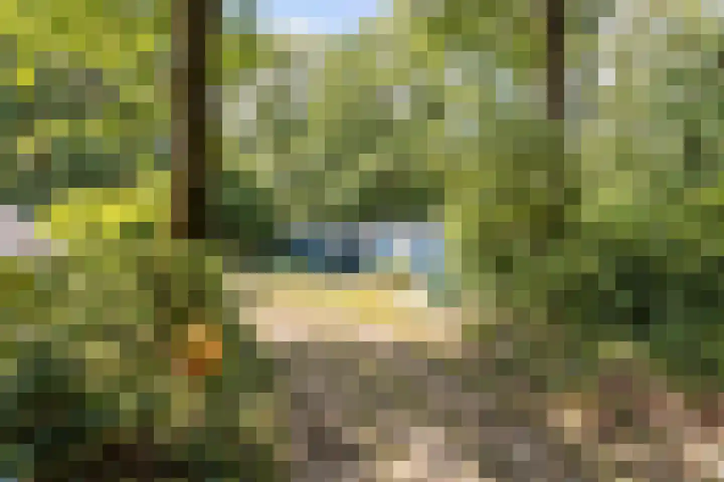 Langeloërduinen 3 31 Norg thumbnail 18