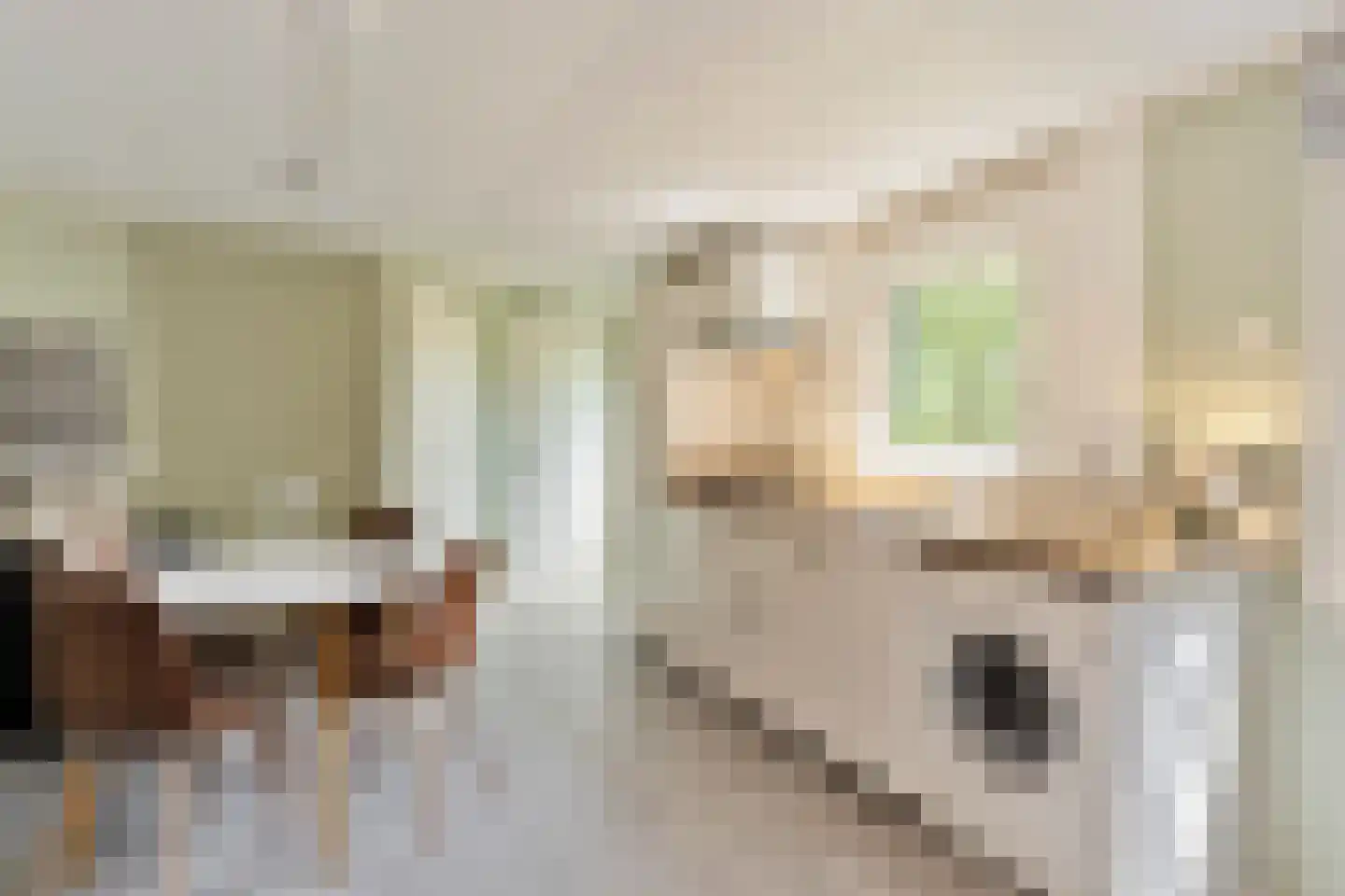 Langeloërduinen 3 31 Norg thumbnail 4