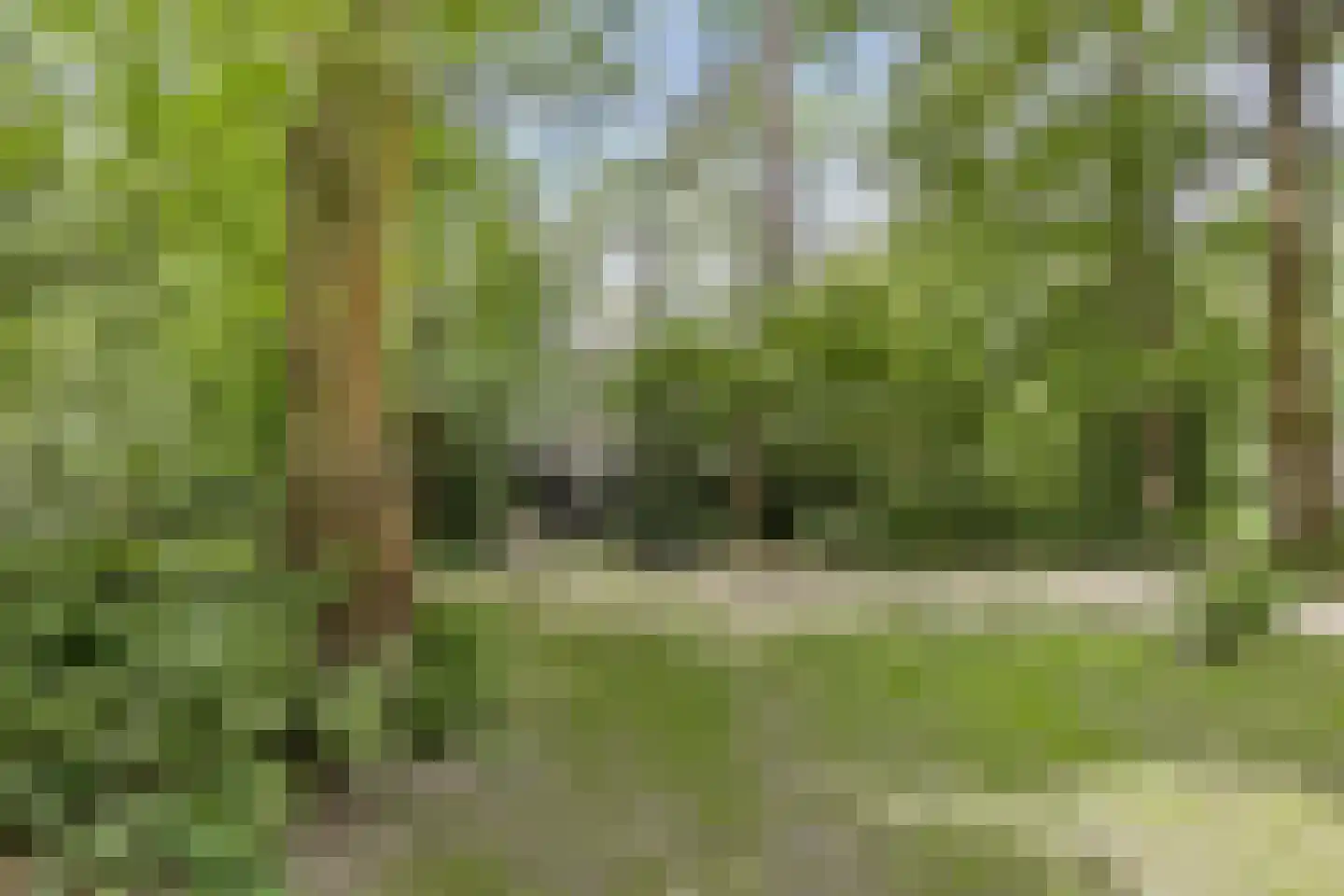 Langeloërduinen 4 110 Norg thumbnail 11