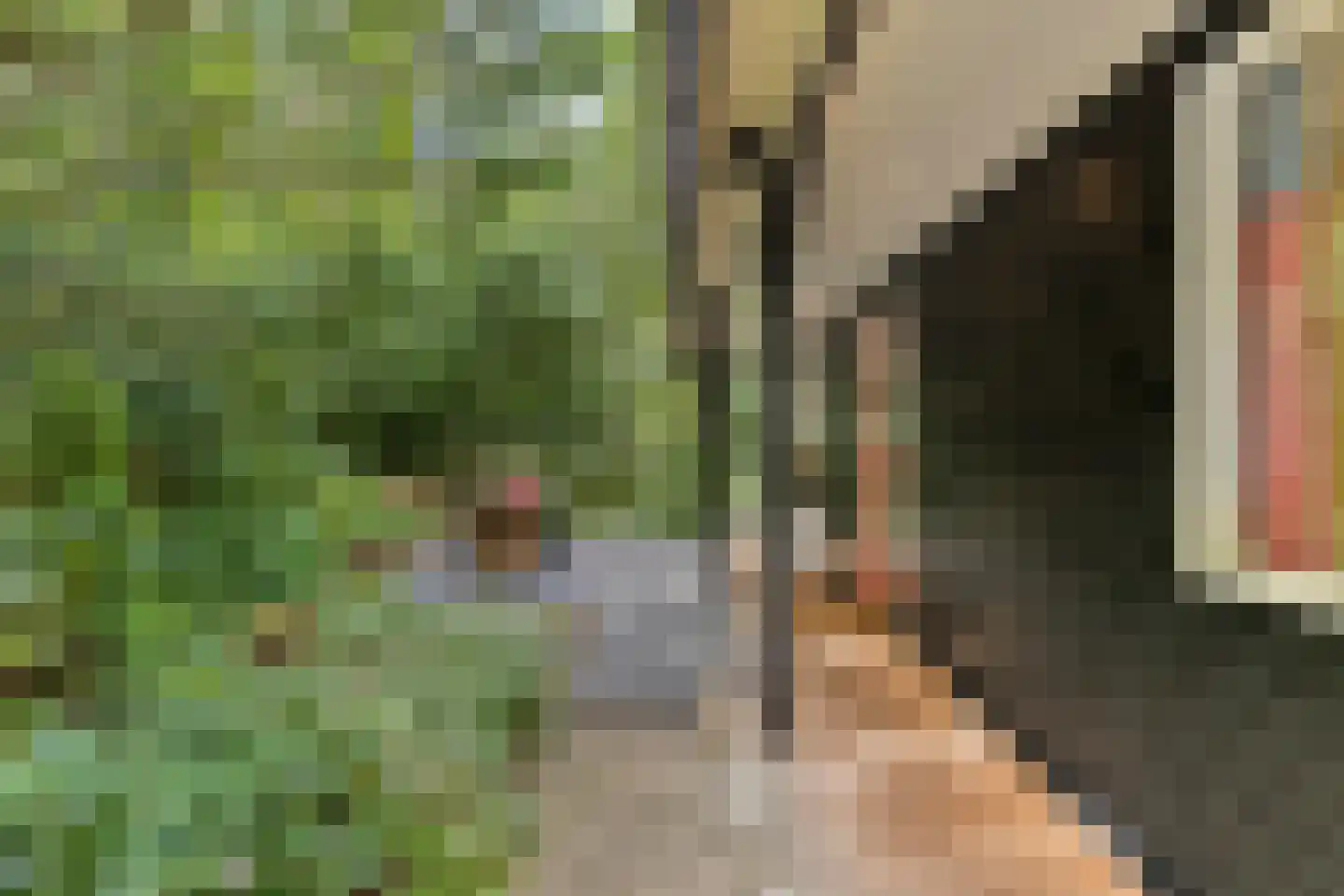 Langeloërduinen 4 110 Norg thumbnail 15