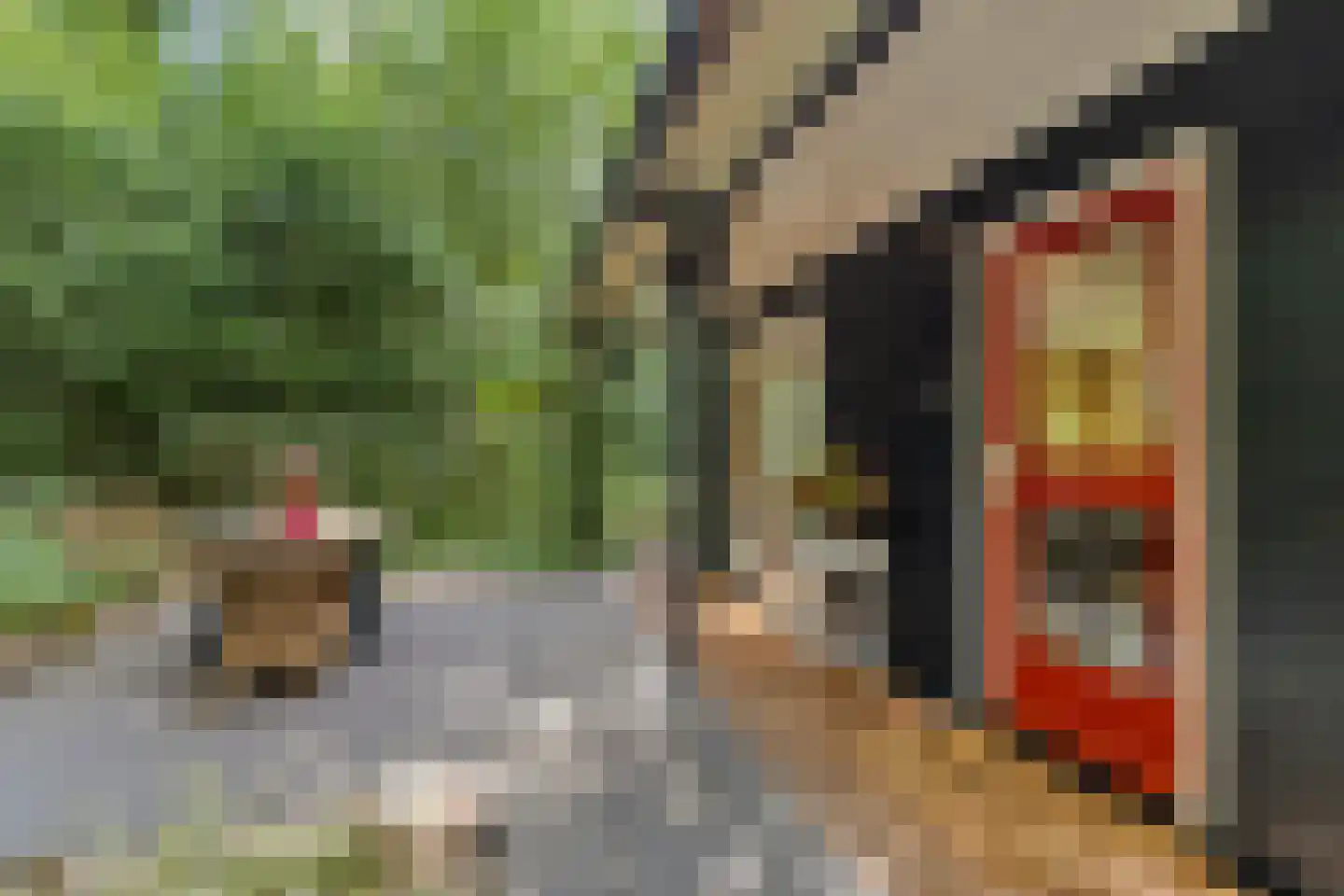 Langeloërduinen 4 110 Norg thumbnail 16