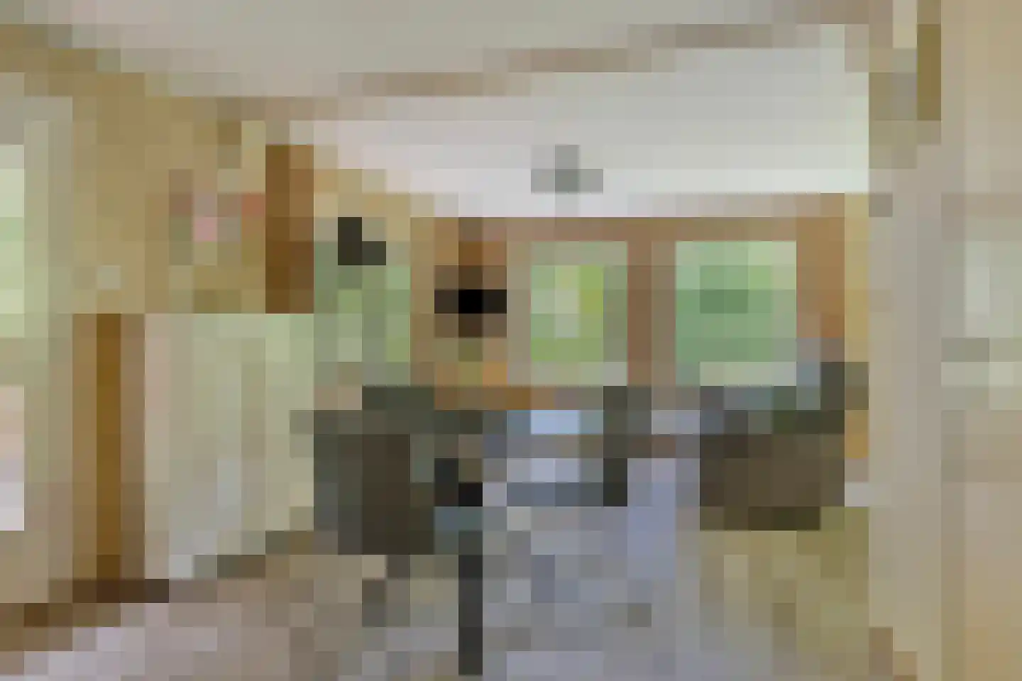 Langeloërduinen 4 110 Norg thumbnail 18