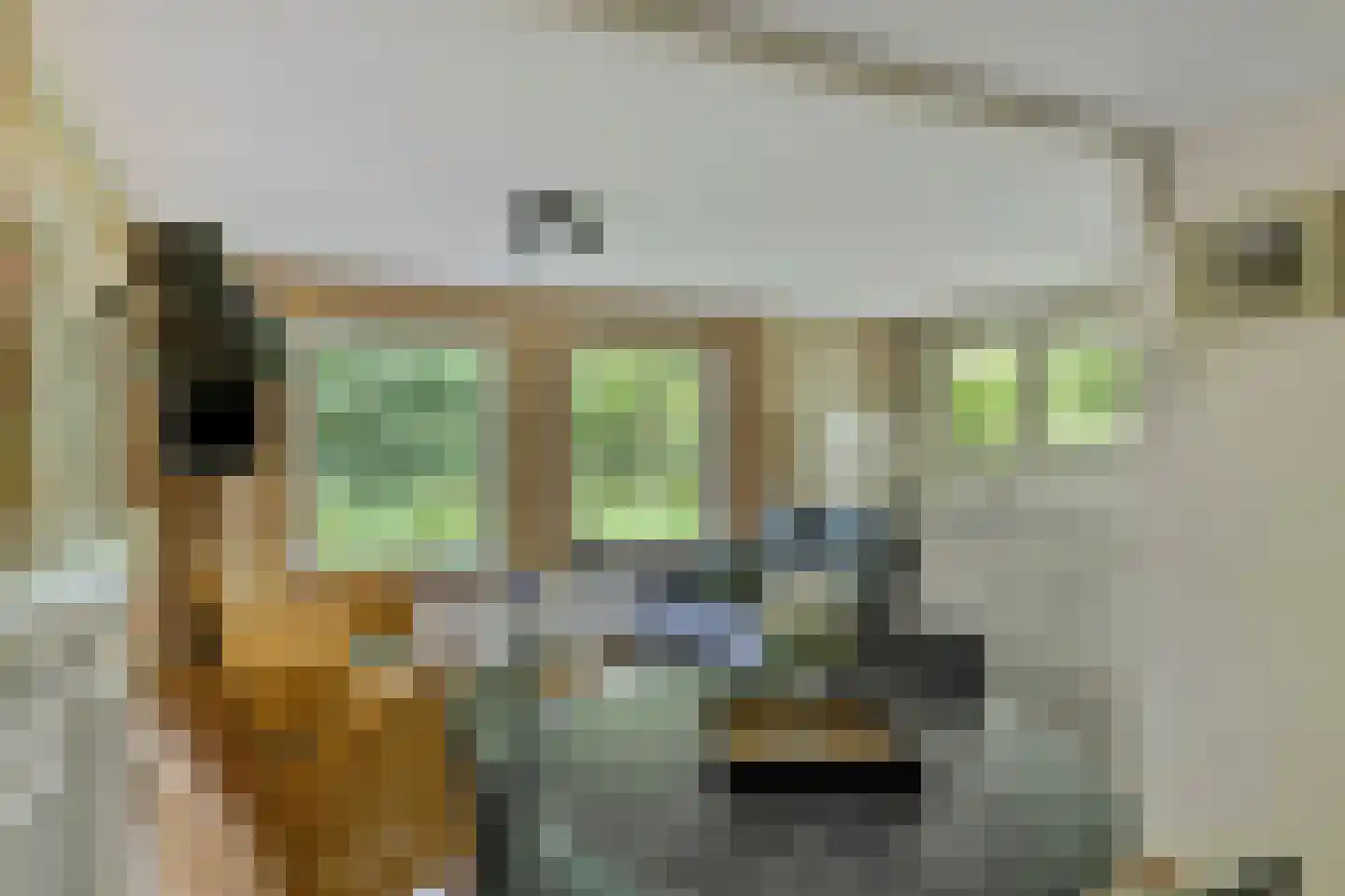 Langeloërduinen 4 110 Norg thumbnail 23