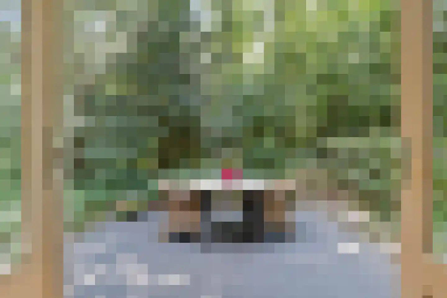 Langeloërduinen 4 110 Norg thumbnail 34