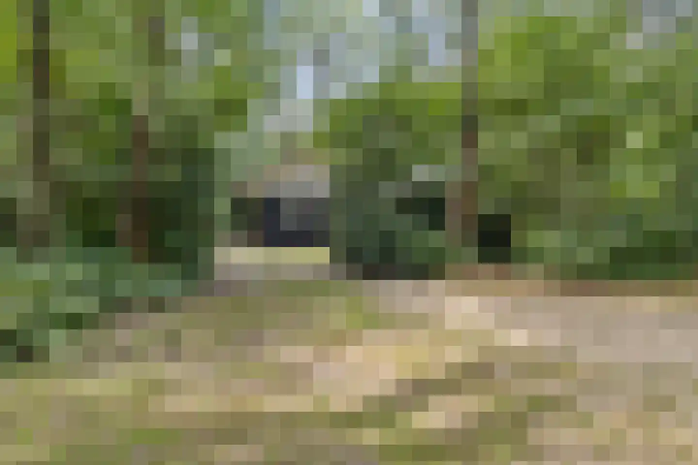 Langeloërduinen 4 110 Norg thumbnail 9