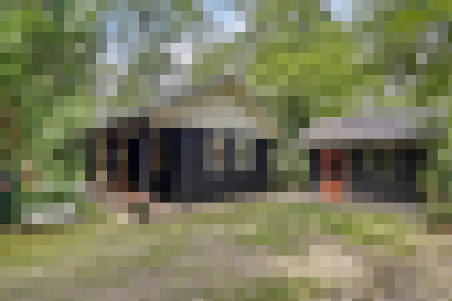 Langeloërduinen 4 4 110 Norg