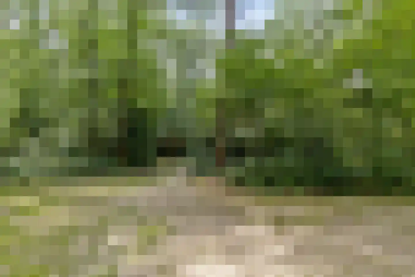 Langeloërduinen 4 4 110 Norg thumbnail 10