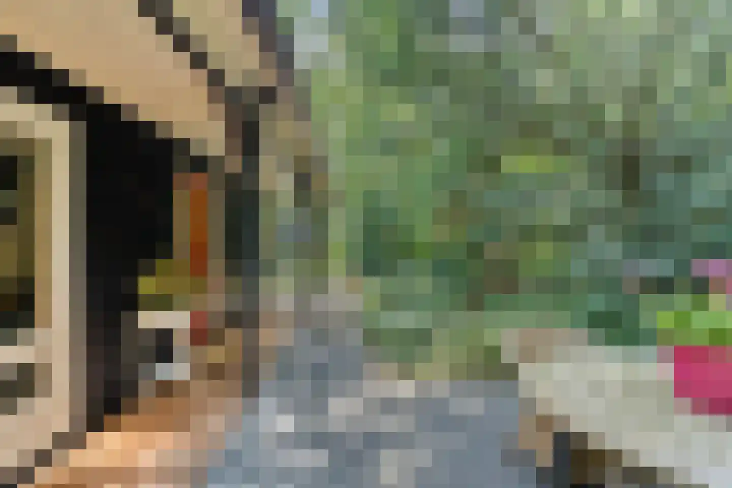 Langeloërduinen 4 4 110 Norg thumbnail 37