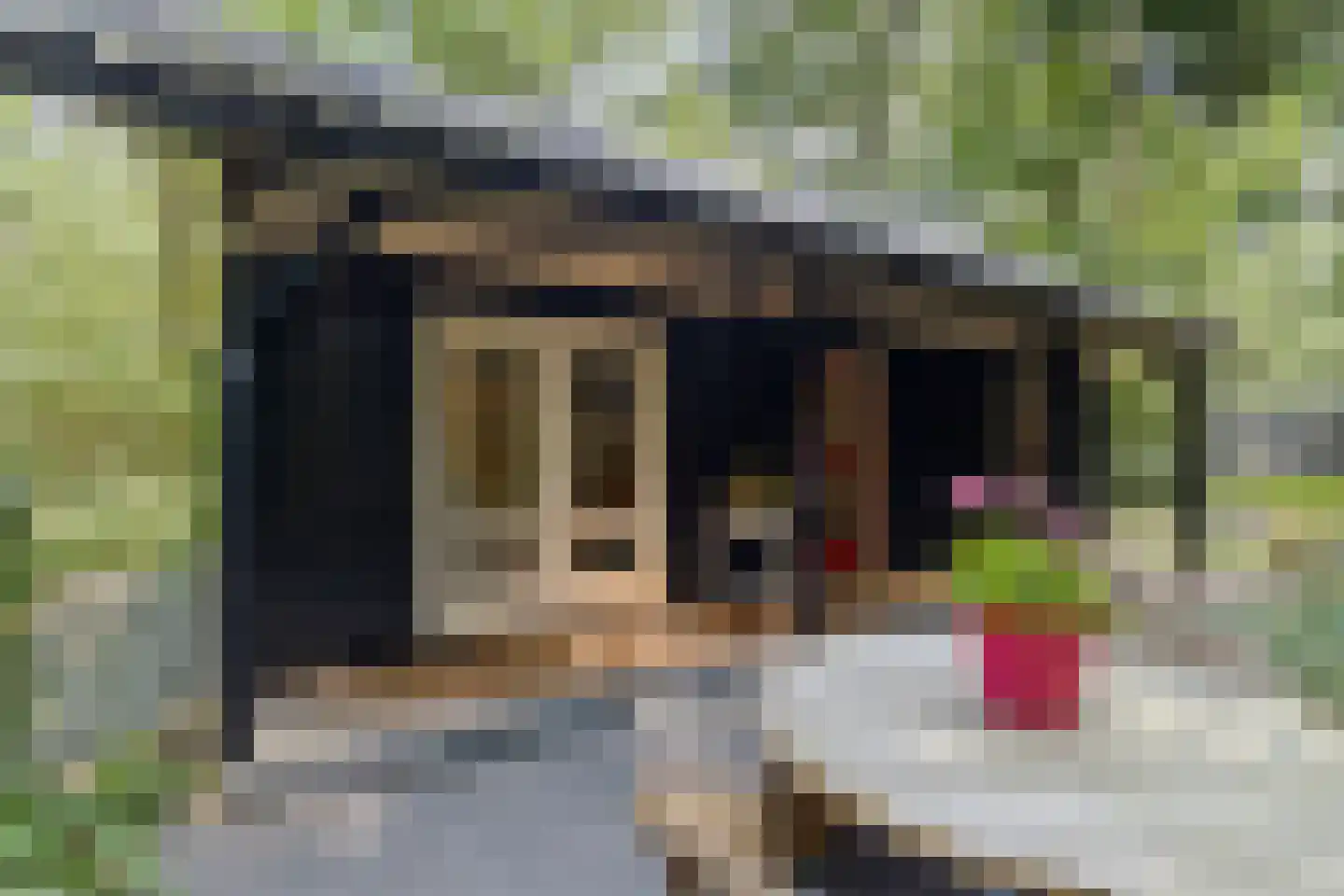 Langeloërduinen 4 4 110 Norg thumbnail 38
