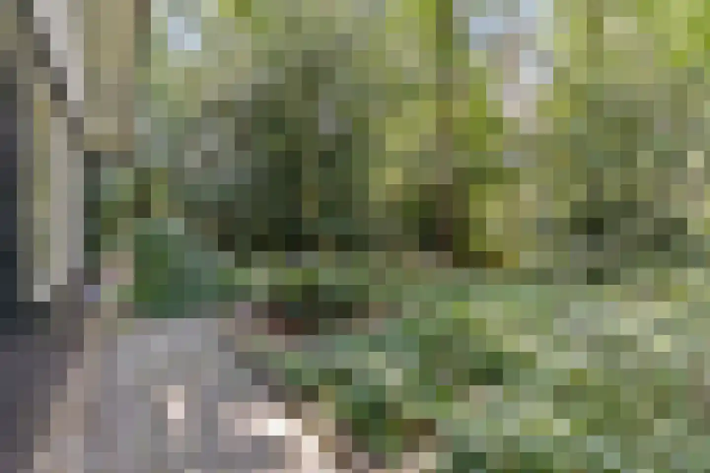 Langeloërduinen 4 4 110 Norg thumbnail 39