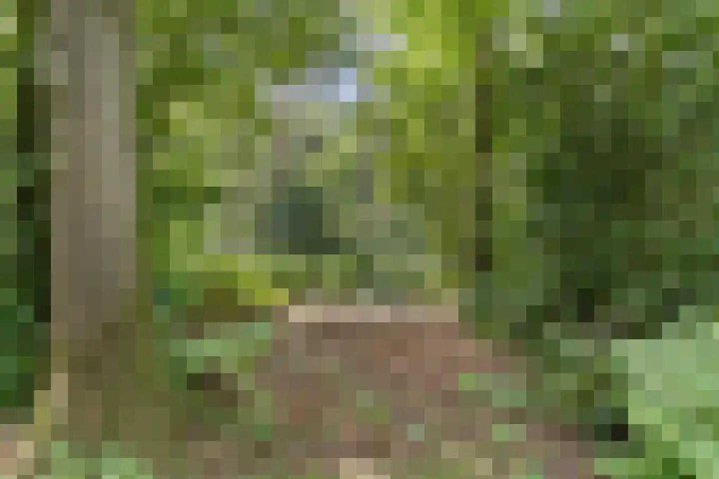 Langeloërduinen 4 4 110 Norg thumbnail 41