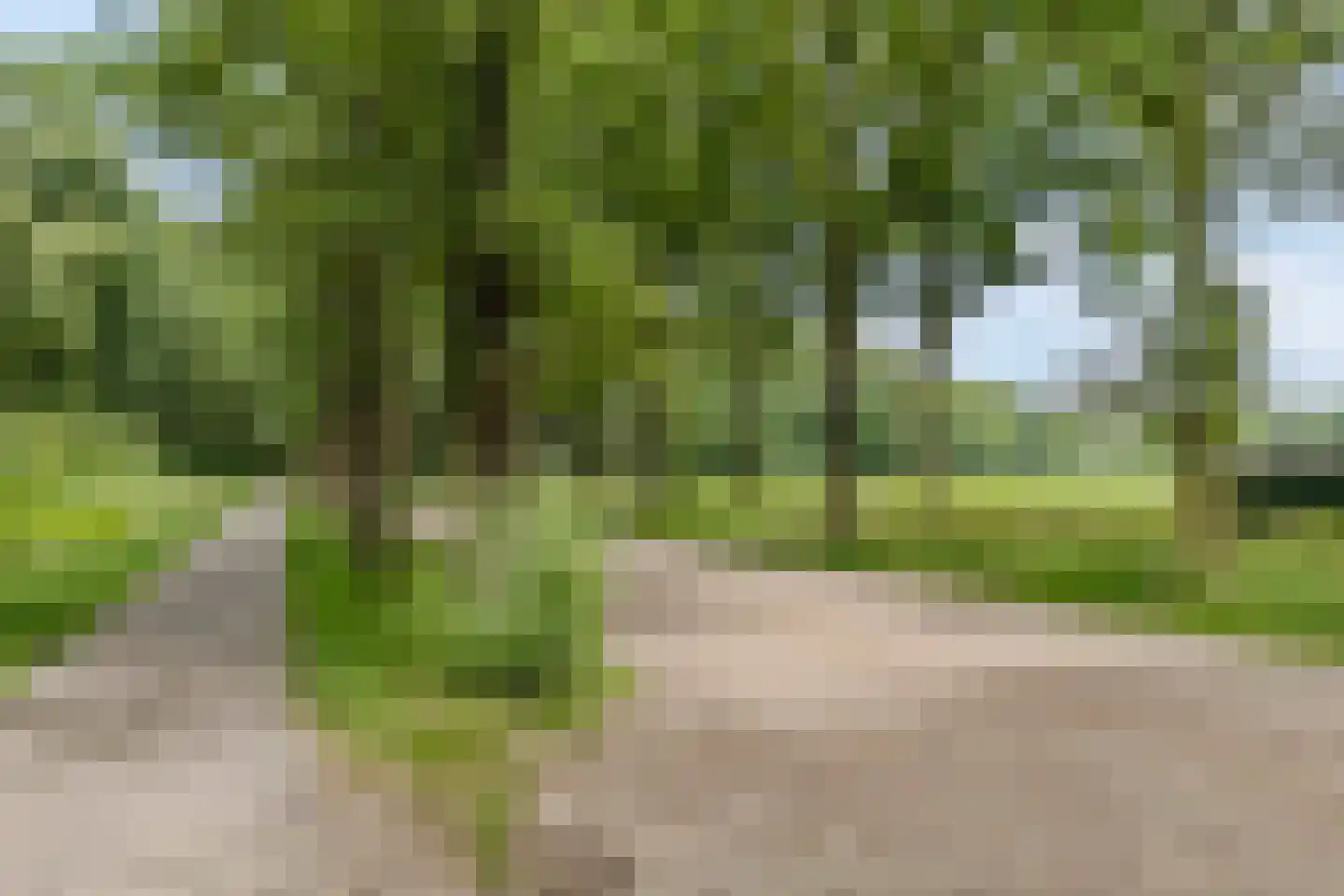 Langeloërduinen 4 4 110 Norg thumbnail 46