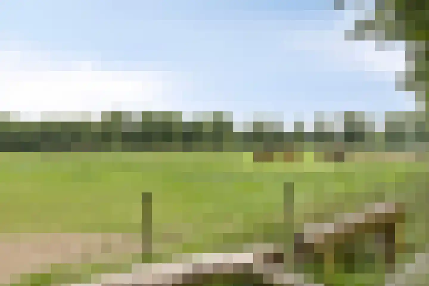 Langeloërduinen 4 4 110 Norg thumbnail 47