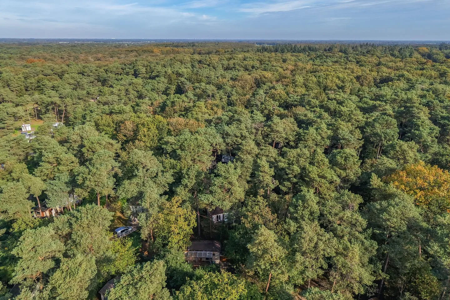 Langeloërduinen 5 29 Norg thumbnail 4