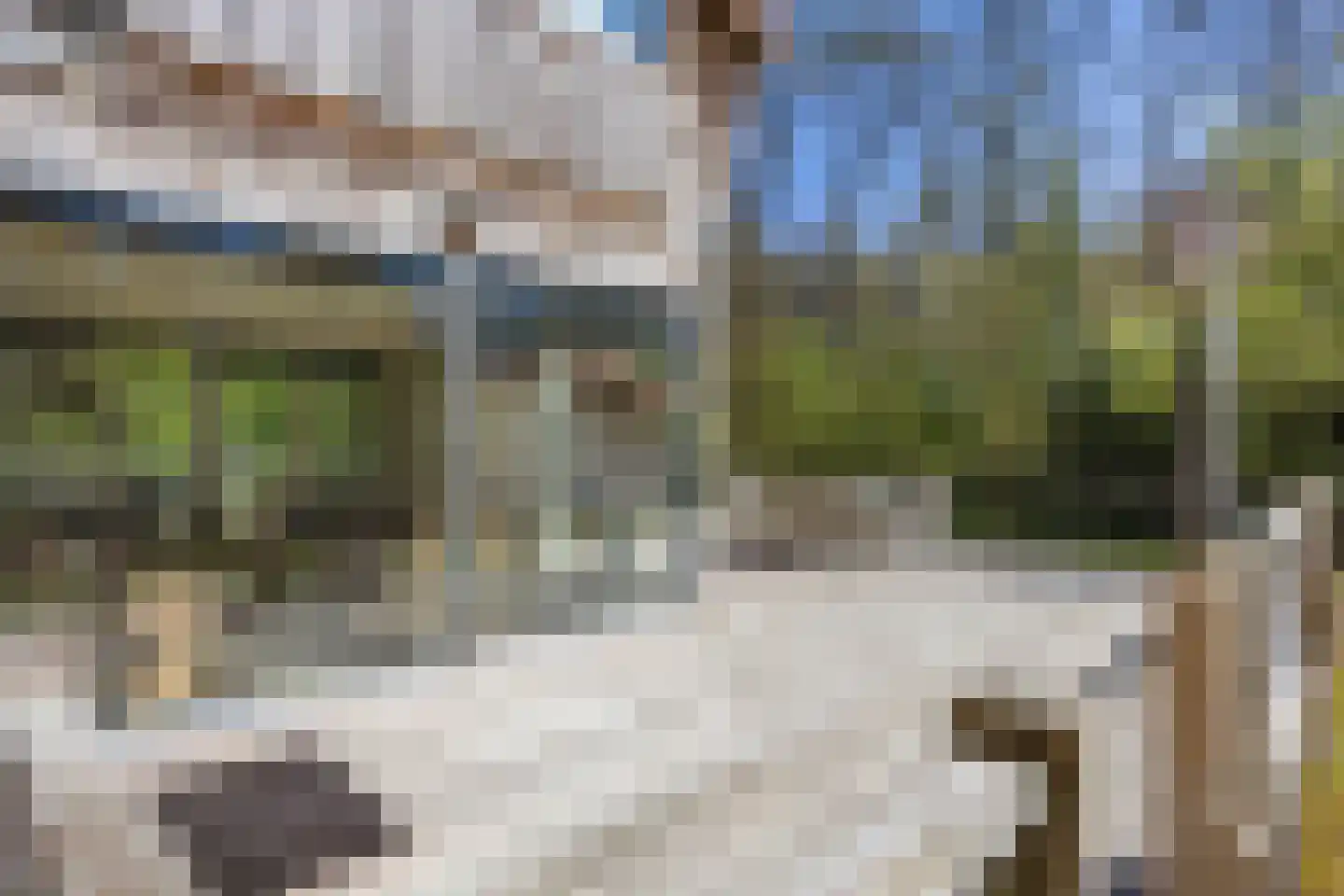 Langeloërweg 34 Norg thumbnail 10