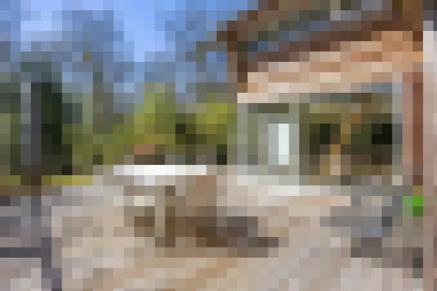 Langeloërweg 34 Norg thumbnail 11