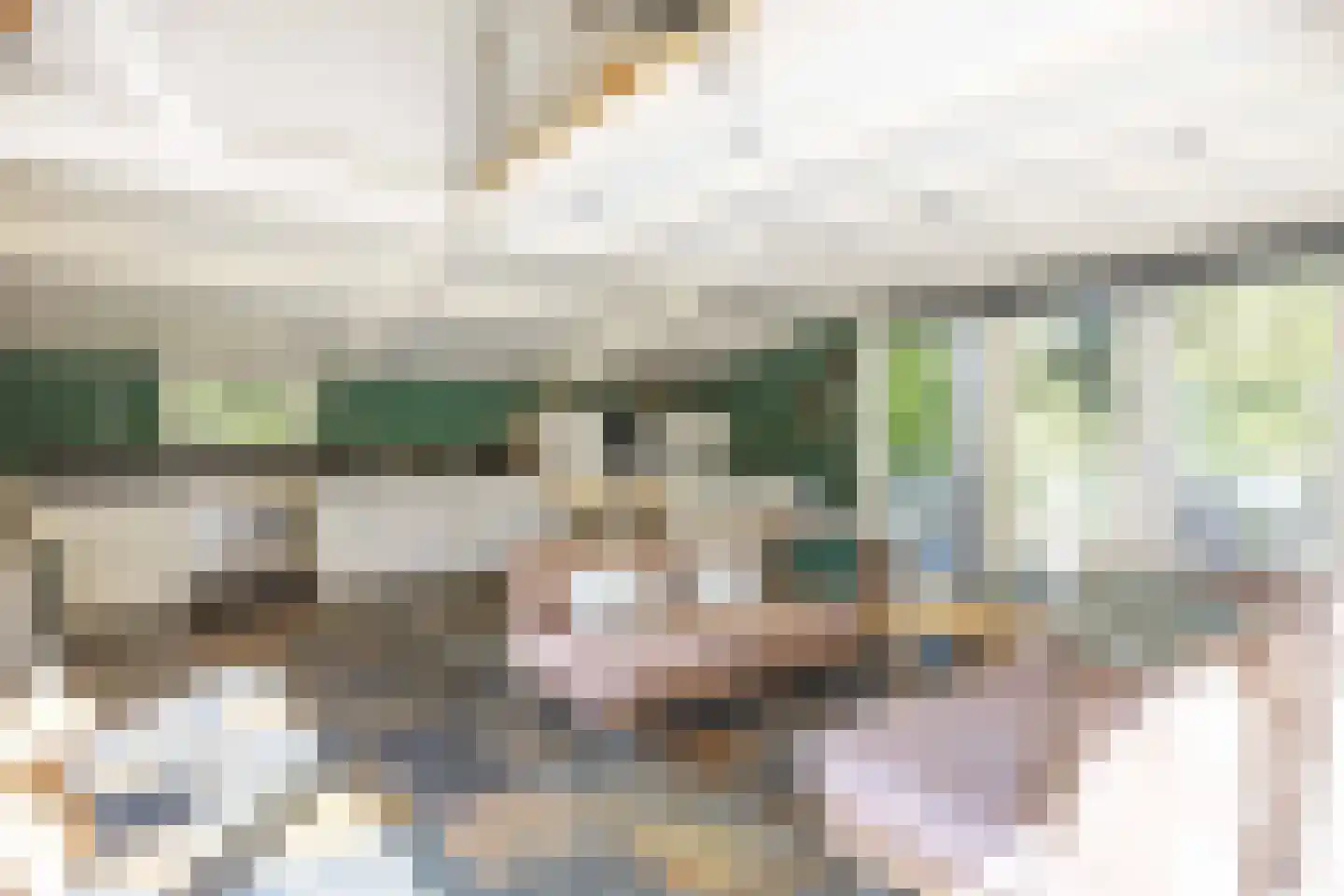 Langeloërweg 34 Norg thumbnail 22