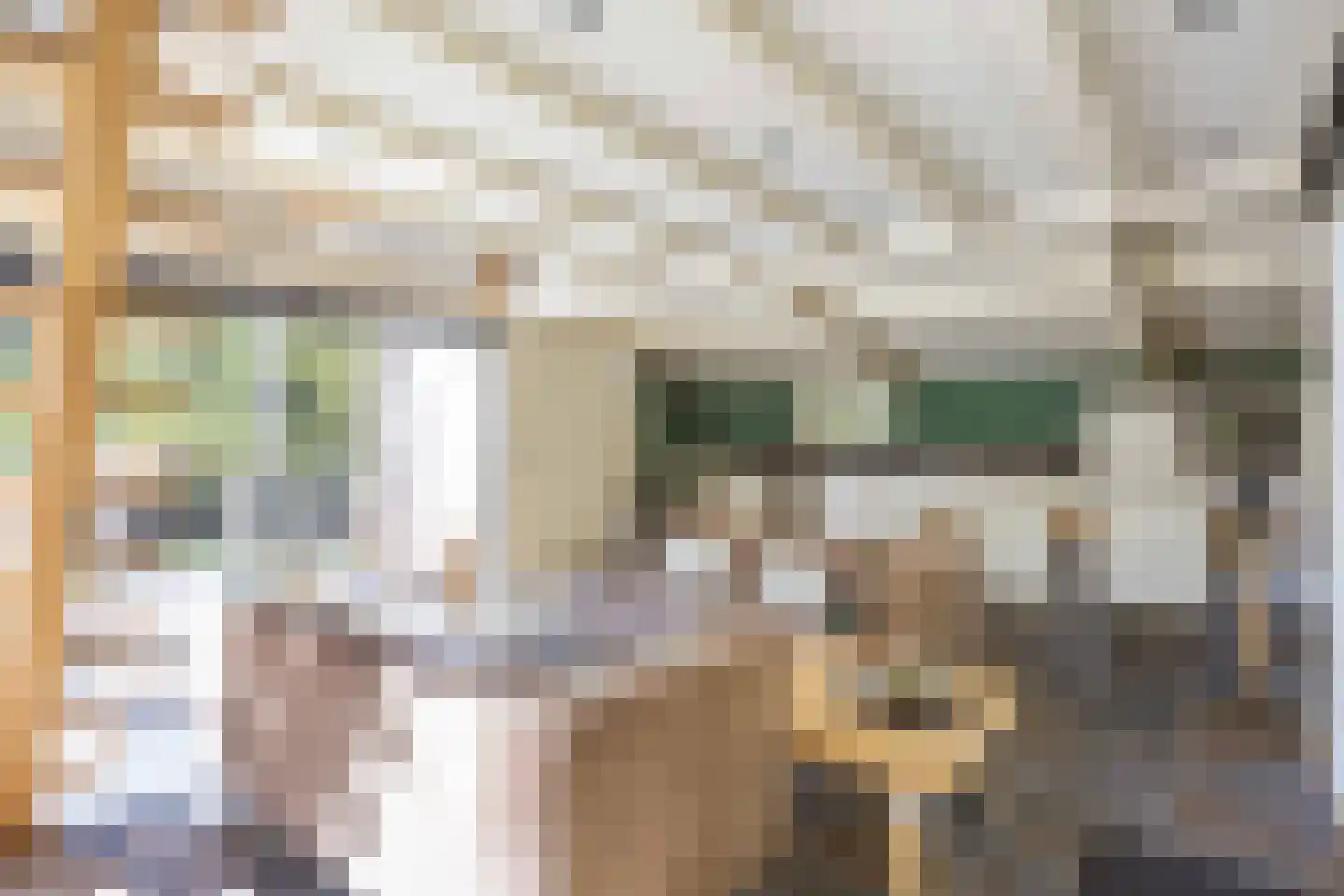 Langeloërweg 34 Norg thumbnail 24