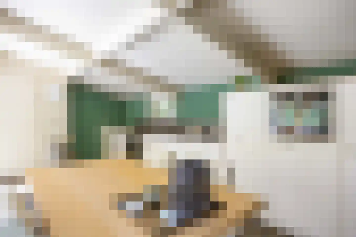 Langeloërweg 34 Norg thumbnail 27