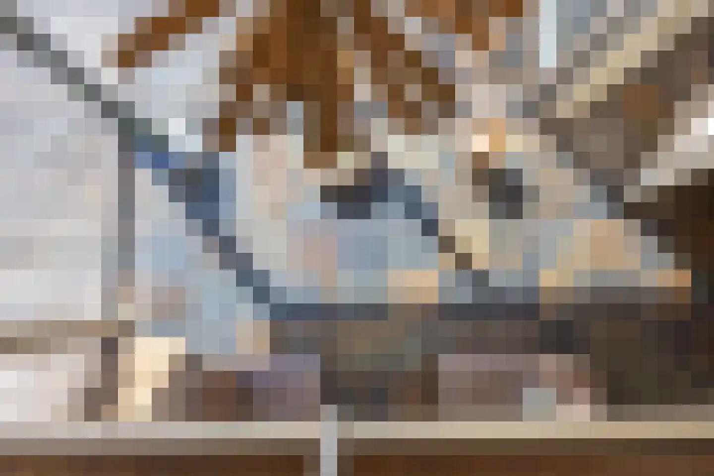 Langeloërweg 34 Norg thumbnail 36