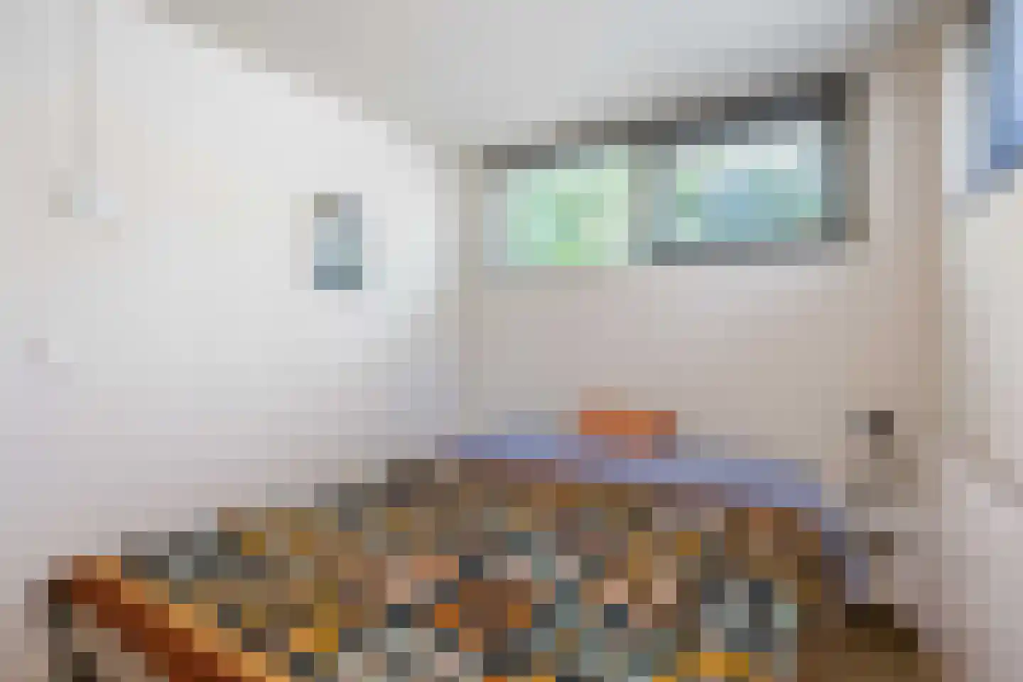 Langeloërweg 34 Norg thumbnail 48
