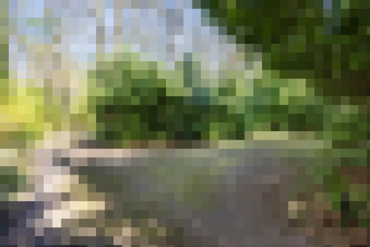 Langeloërweg 34 Norg thumbnail 5