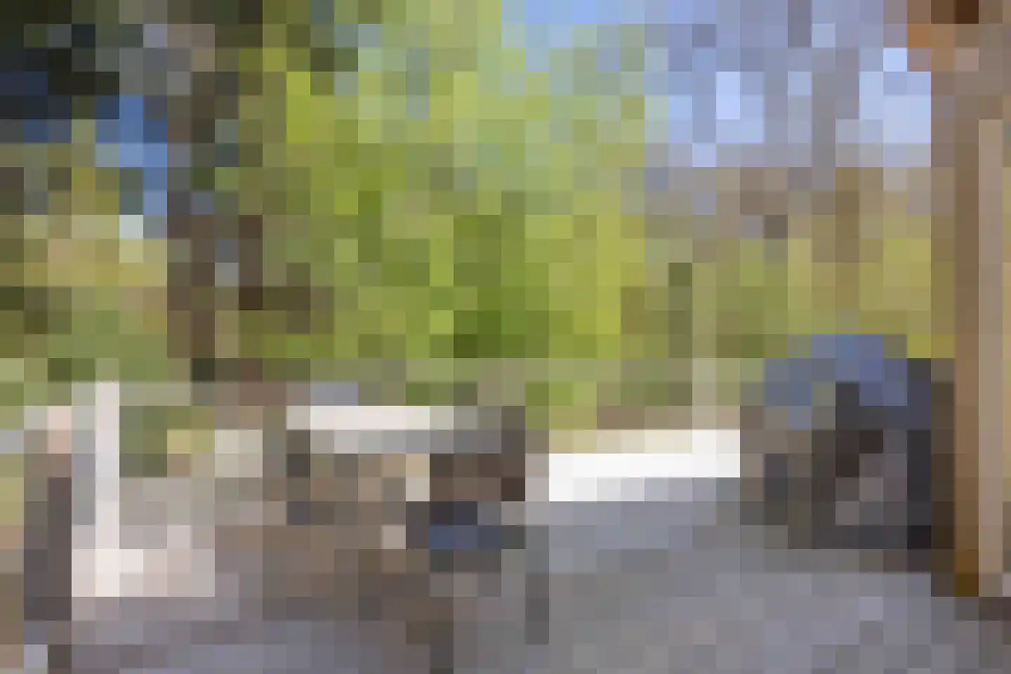 Langeloërweg 34 Norg thumbnail 55