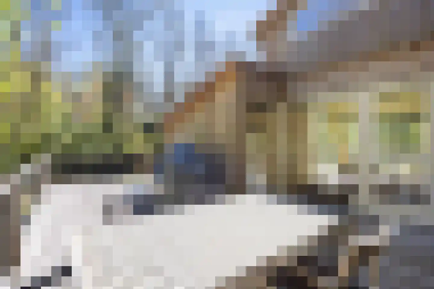 Langeloërweg 34 Norg thumbnail 56