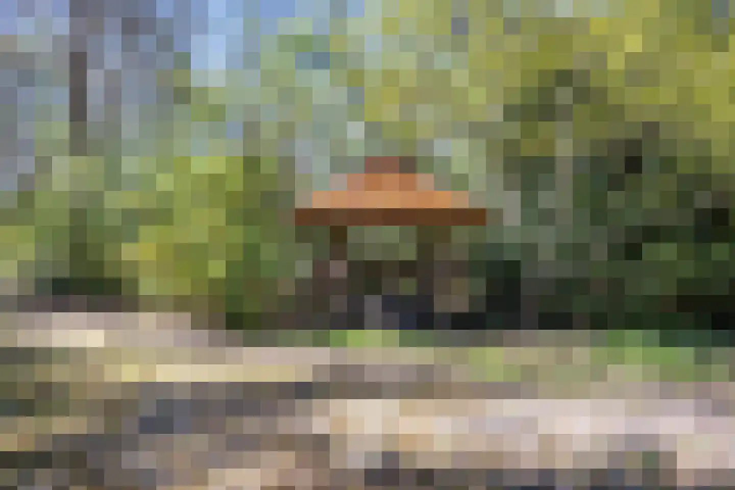 Langeloërweg 34 Norg thumbnail 58