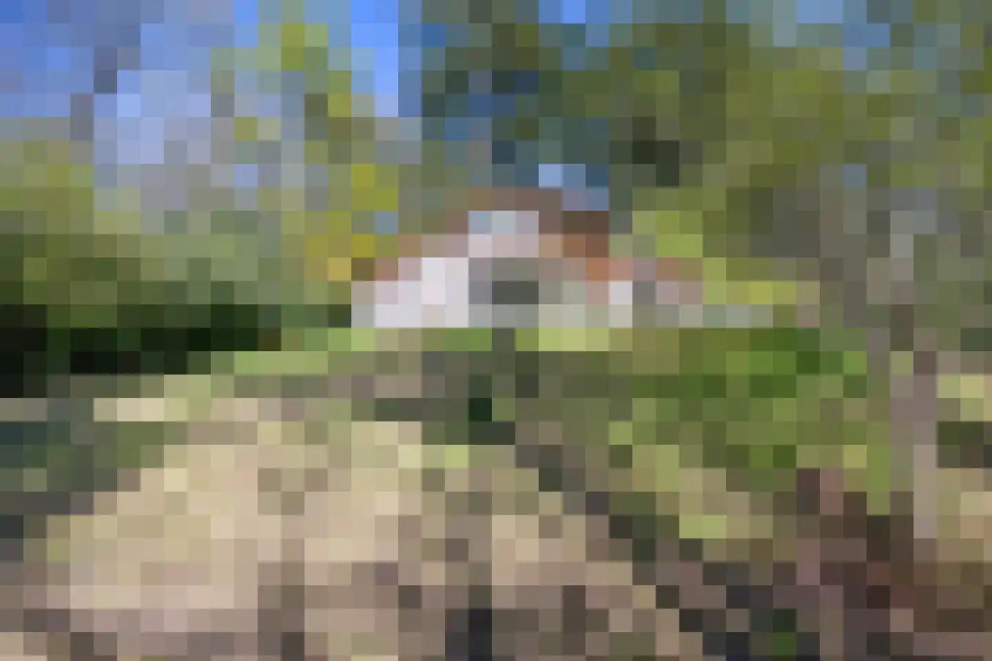 Langeloërweg 34 Norg thumbnail 59