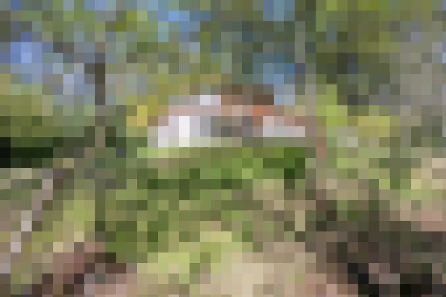 Langeloërweg 34 Norg thumbnail 60