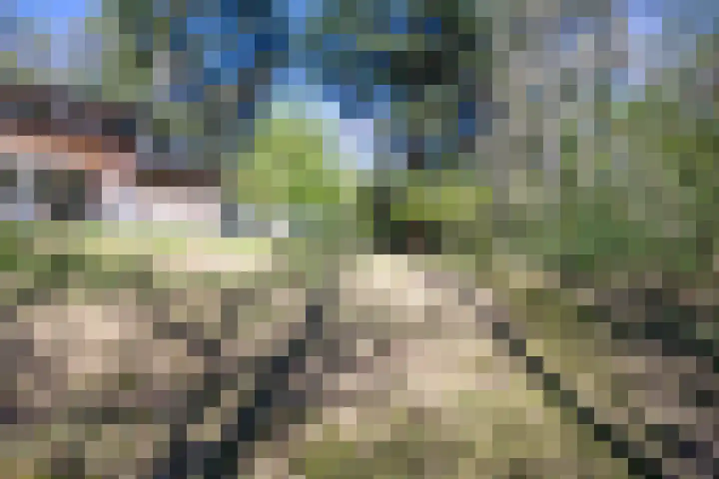 Langeloërweg 34 Norg thumbnail 61