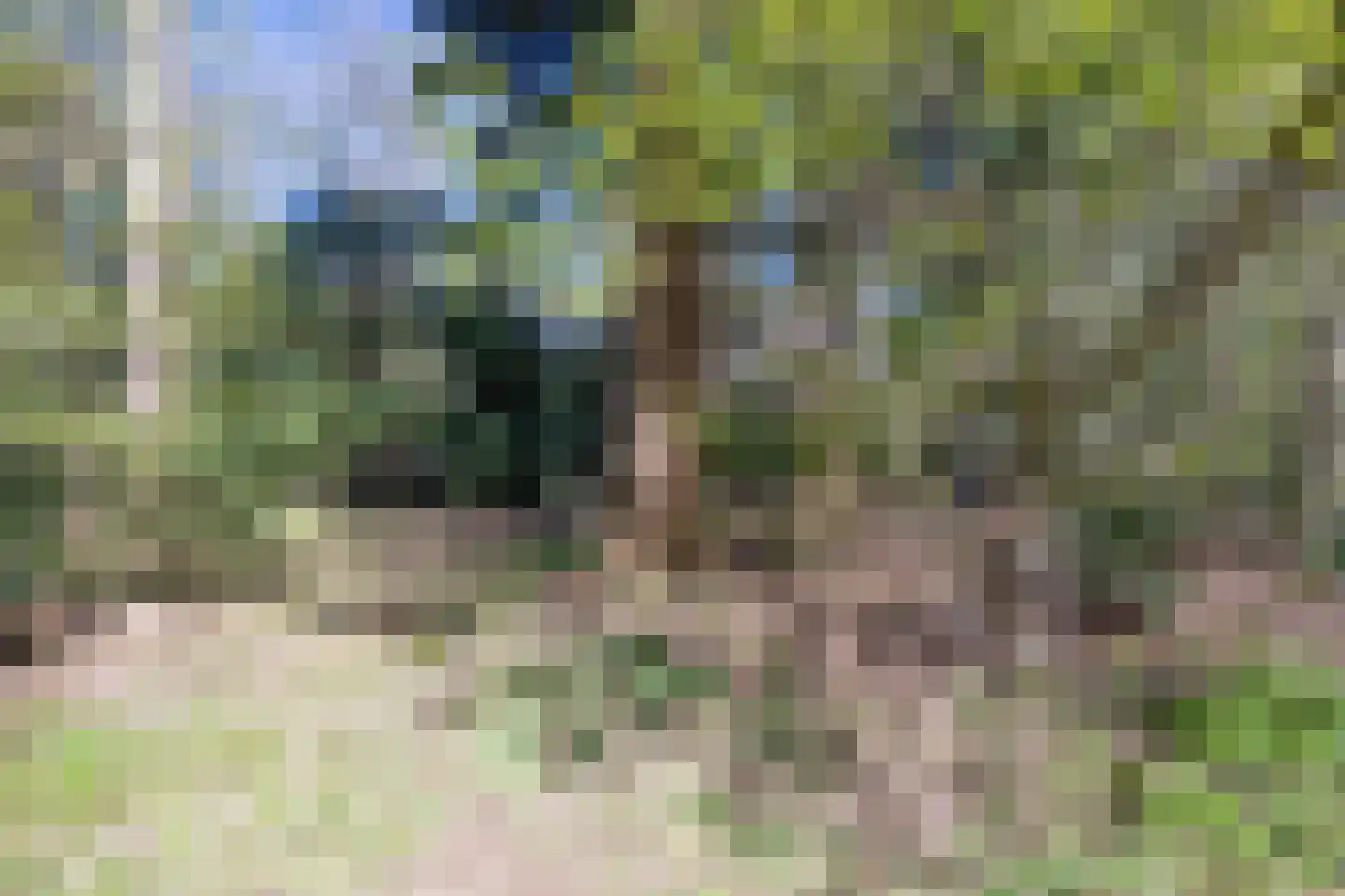 Langeloërweg 34 Norg thumbnail 63