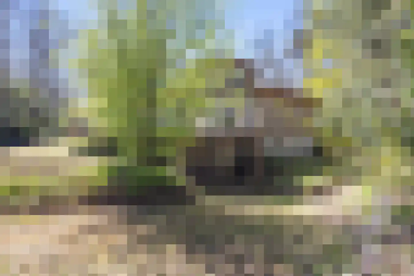 Langeloërweg 34 Norg thumbnail 64