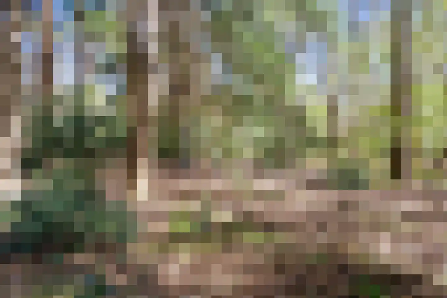 Langeloërweg 34 Norg thumbnail 65