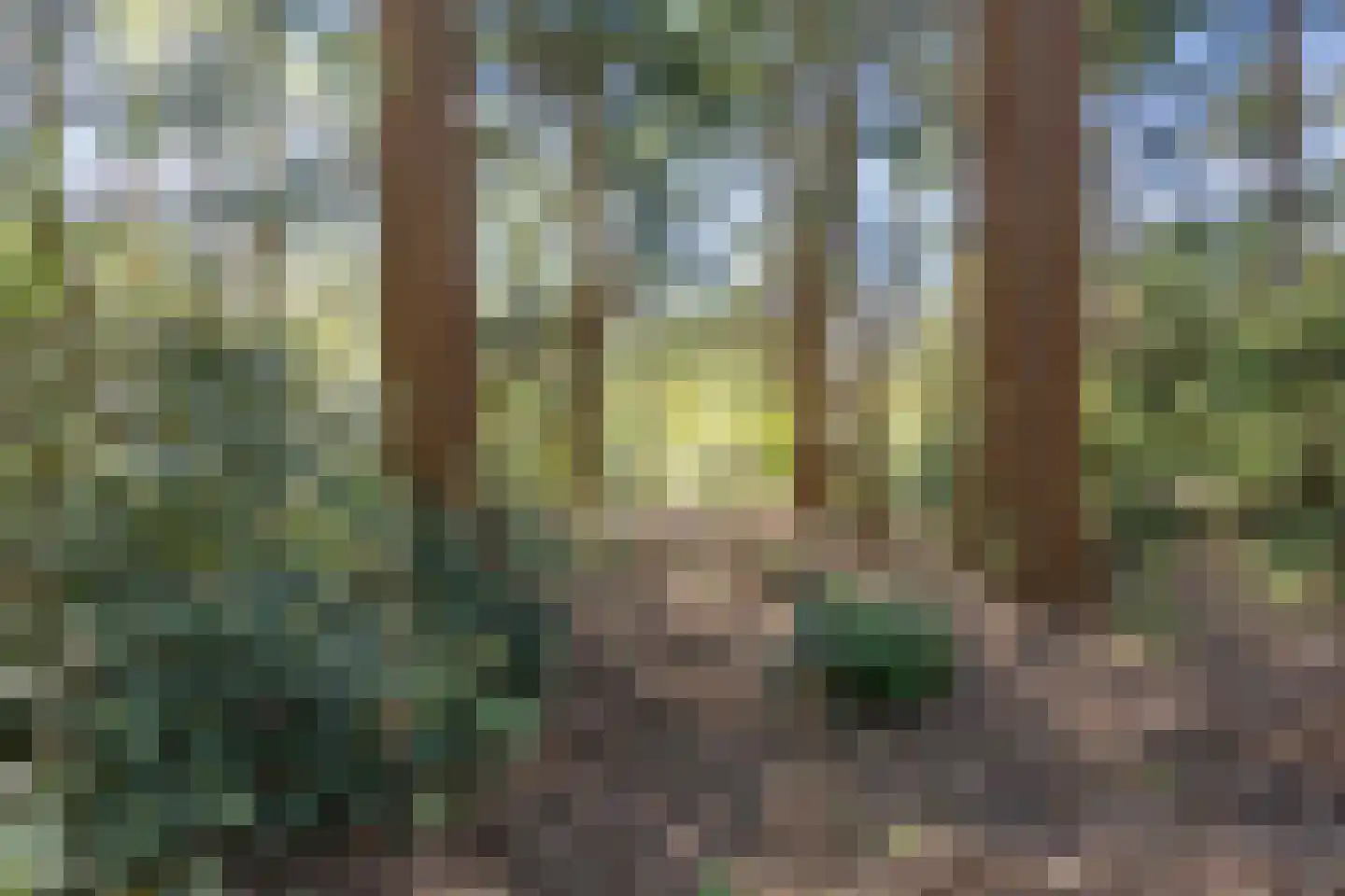 Langeloërweg 34 Norg thumbnail 66