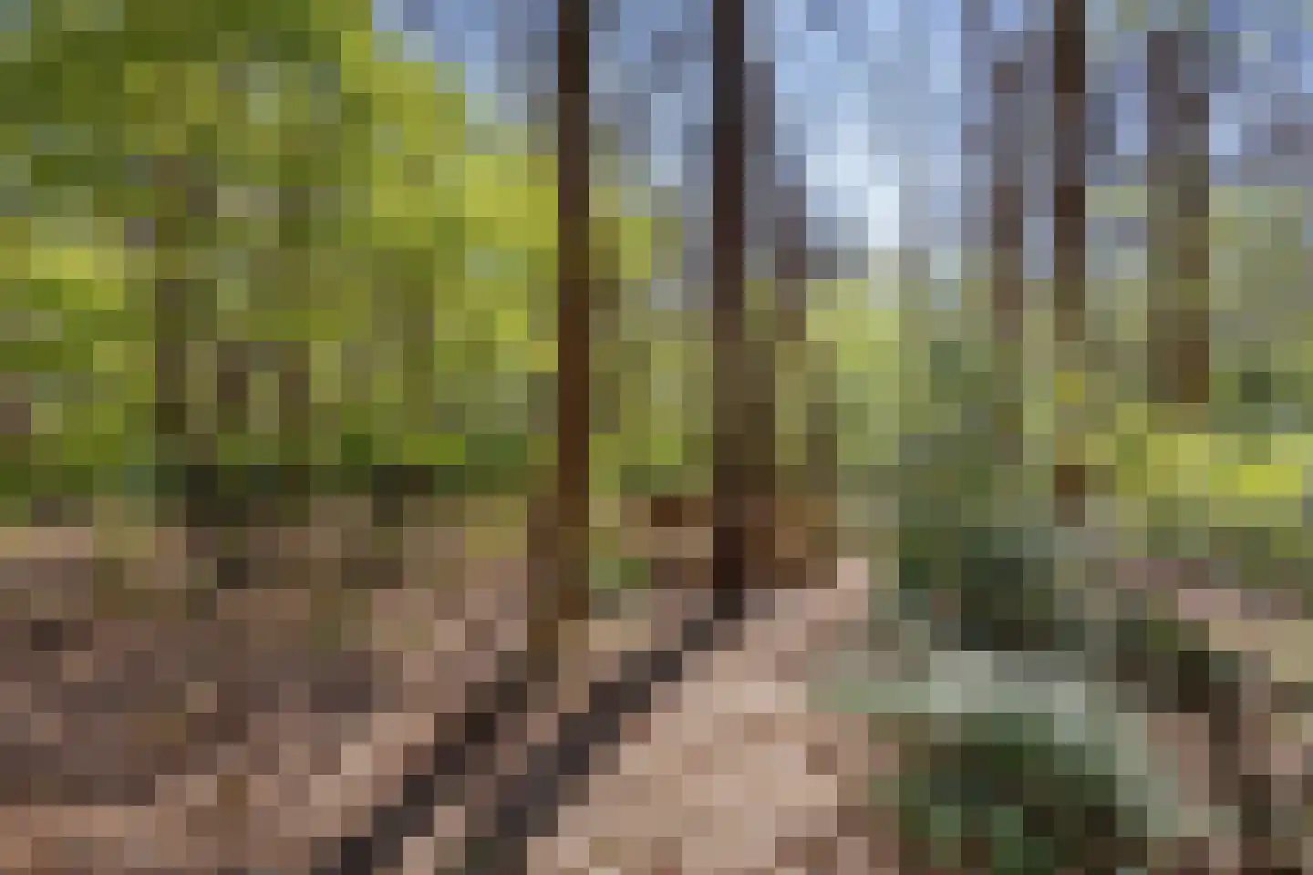 Langeloërweg 34 Norg thumbnail 67