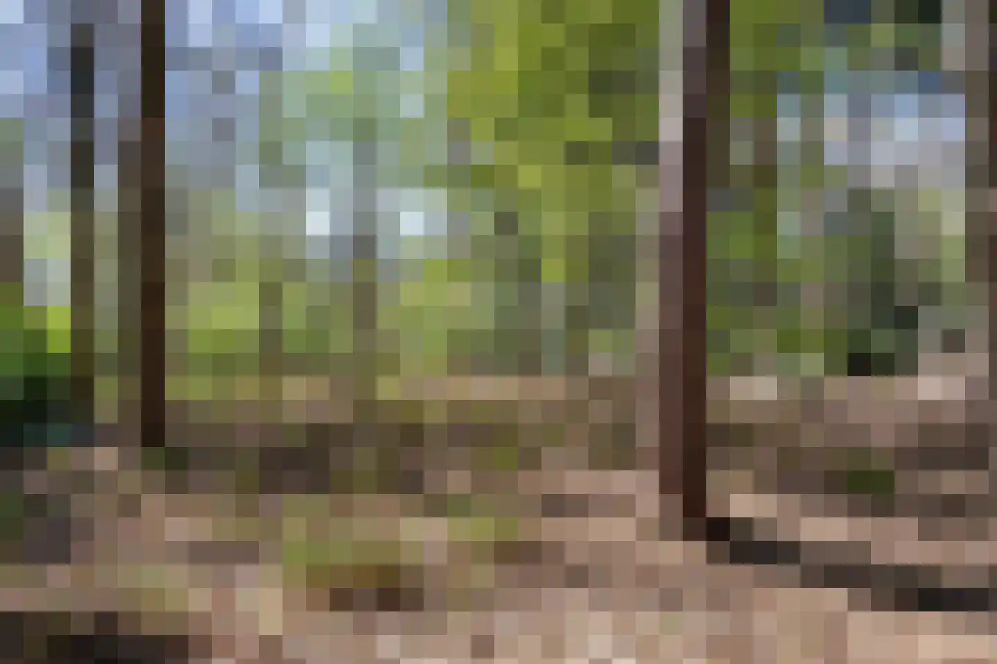 Langeloërweg 34 Norg thumbnail 68
