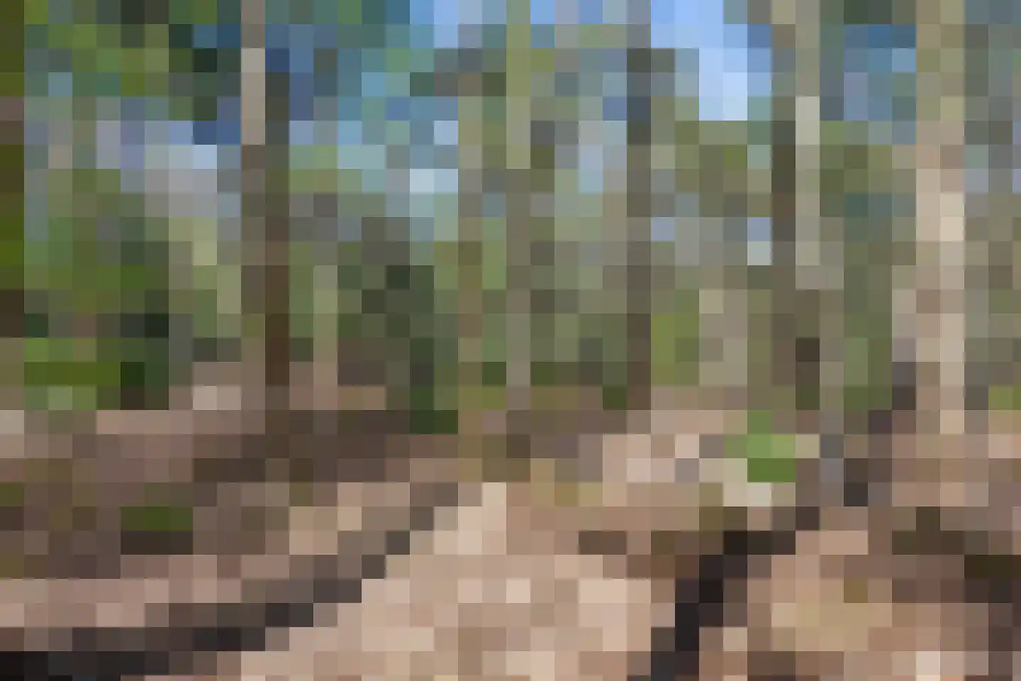 Langeloërweg 34 Norg thumbnail 69