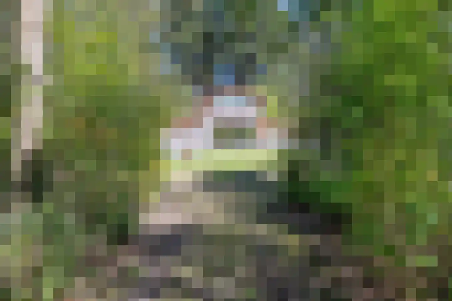 Langeloërweg 34 Norg thumbnail 7