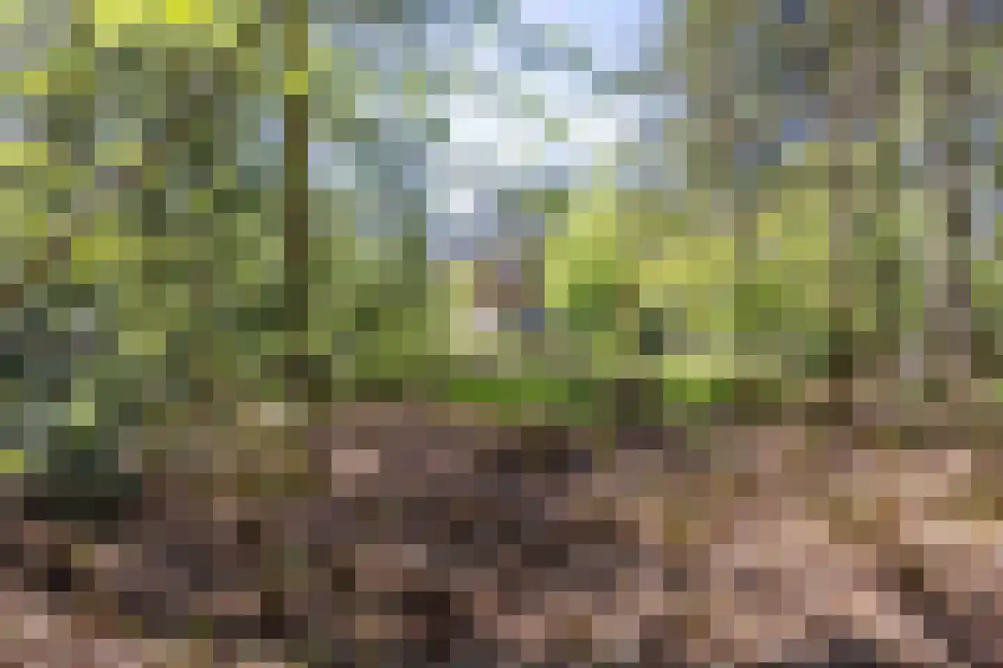 Langeloërweg 34 Norg thumbnail 70