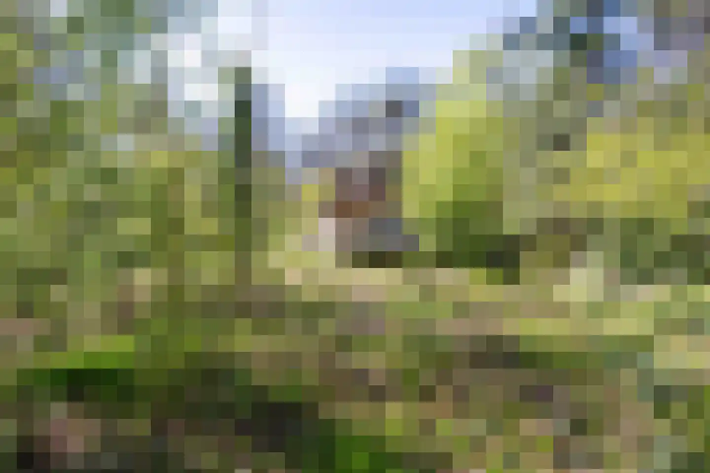Langeloërweg 34 Norg thumbnail 71