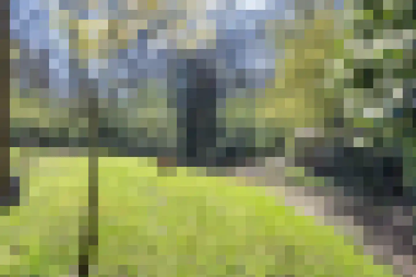 Langeloërweg 34 Norg thumbnail 73