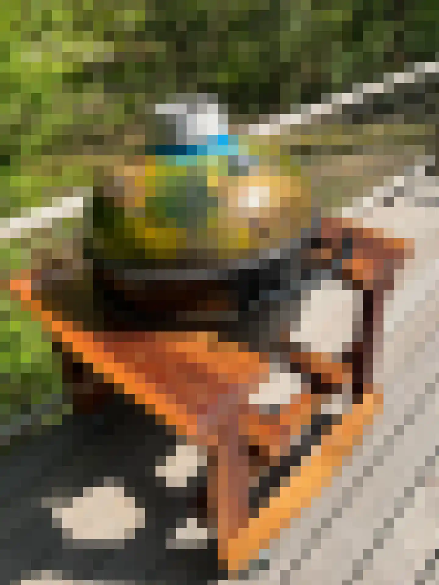 Langeloërweg 34 Norg thumbnail 74