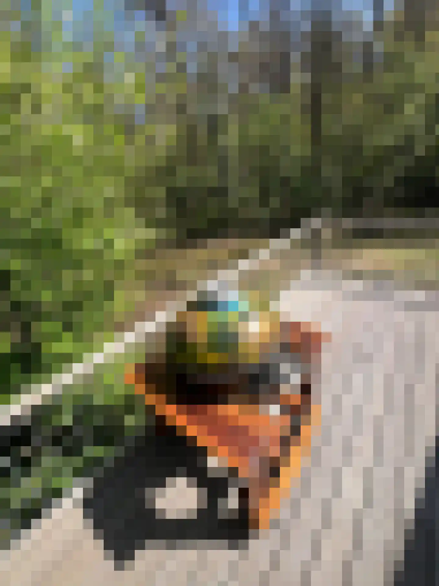 Langeloërweg 34 Norg thumbnail 75
