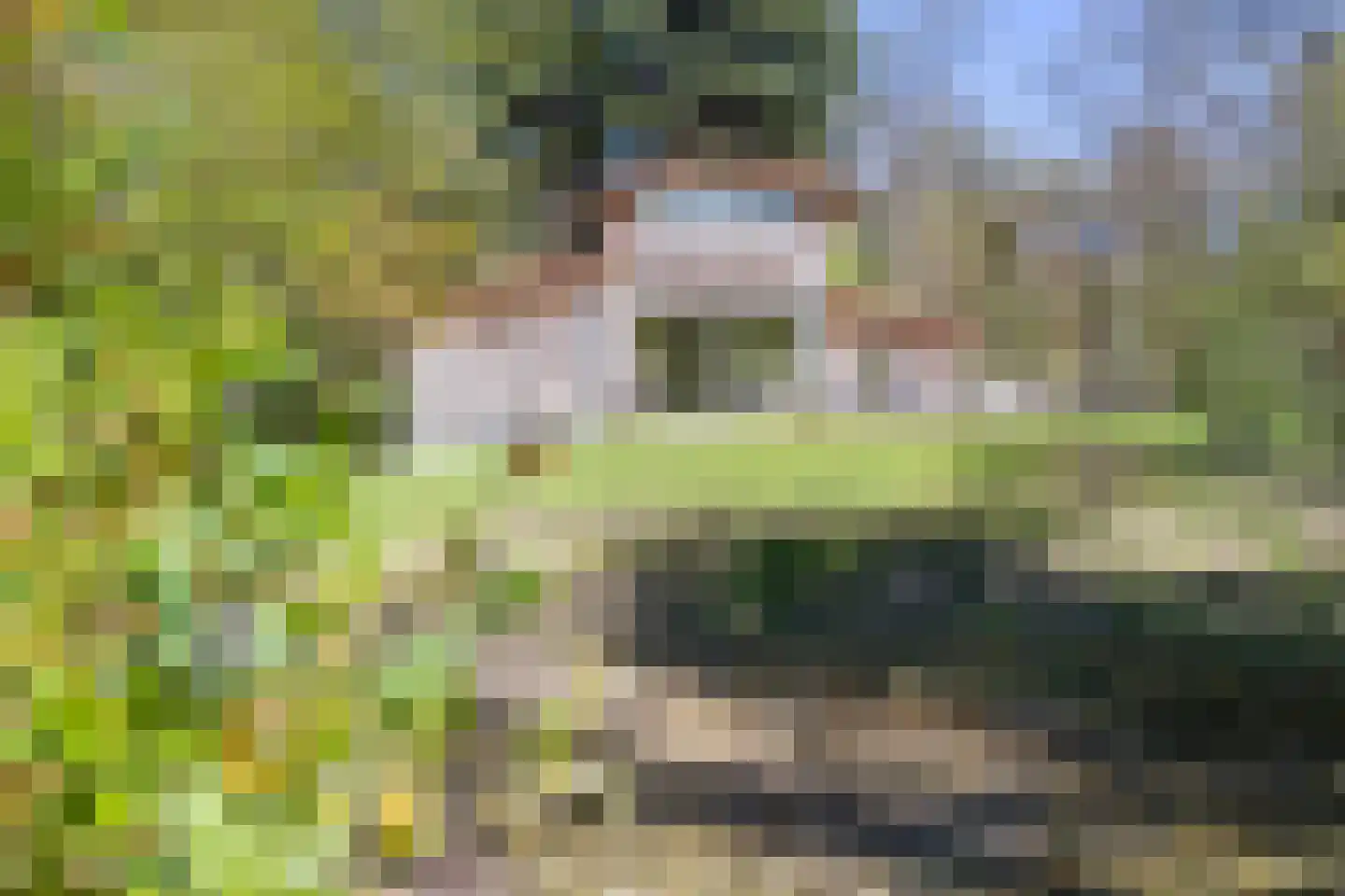 Langeloërweg 34 Norg thumbnail 8