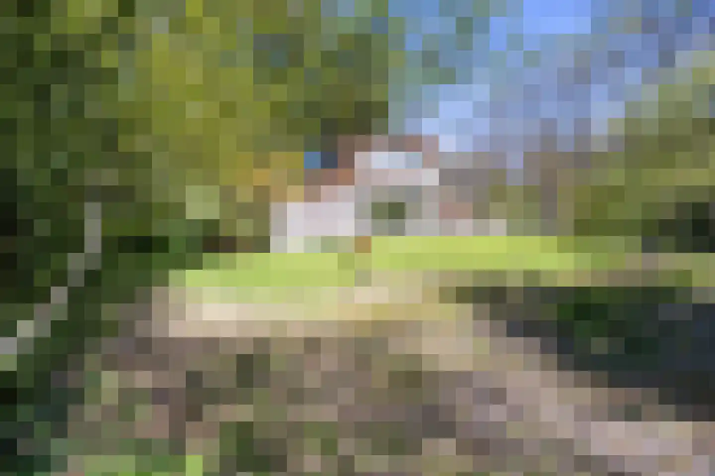 Langeloërweg 34 Norg thumbnail 9