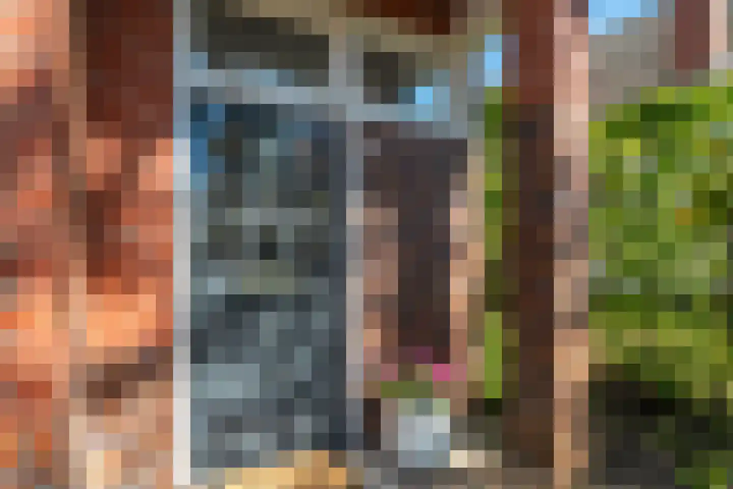 Langeloërweg 4 Norg thumbnail 13